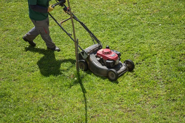 Scenic Shot Gardeners Lawnmowers Doing Maintenance Lisbon Portugal — Stock Photo, Image
