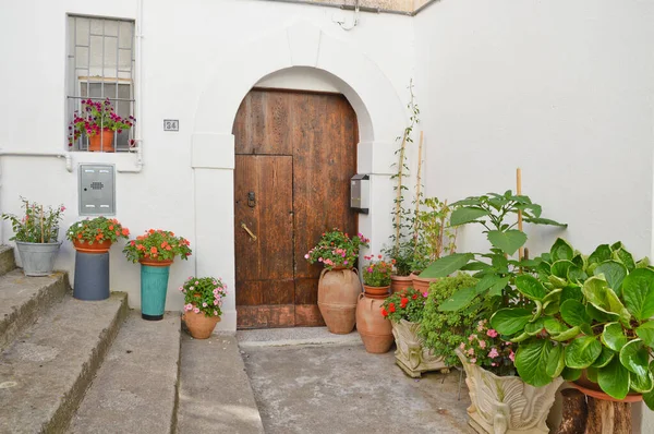 Porta Uma Antiga Casa Com Vasos Plantas Rivello Uma Aldeia — Fotografia de Stock