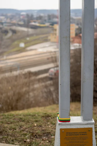 Tiro Vertical Uma Coluna Ferro Uma Paisagem Kaunas Lituânia — Fotografia de Stock