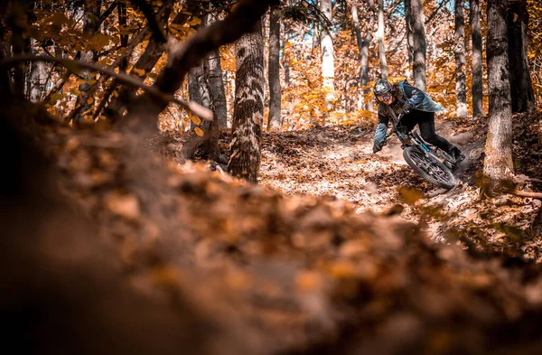 Bisiklet Süren Sonbaharda Slovakya Ormanda Holeshotpunx Giyen Bir Adamın Güzel — Stok fotoğraf