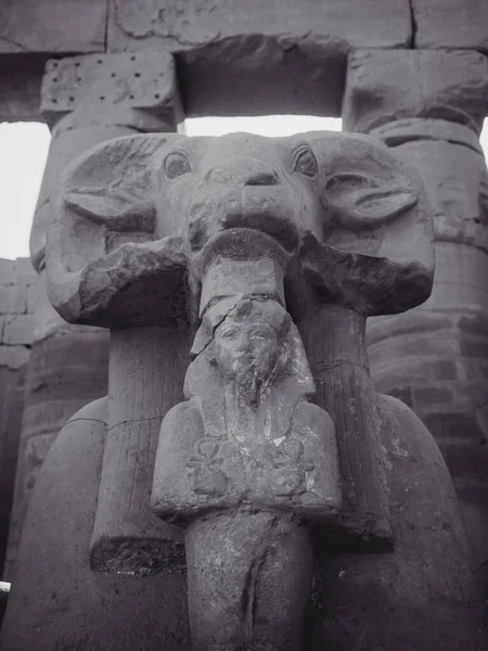 Eski Bir Firavunun Dikey Görüntüsü Karnak Tapınağı Lüksör Mısır — Stok fotoğraf