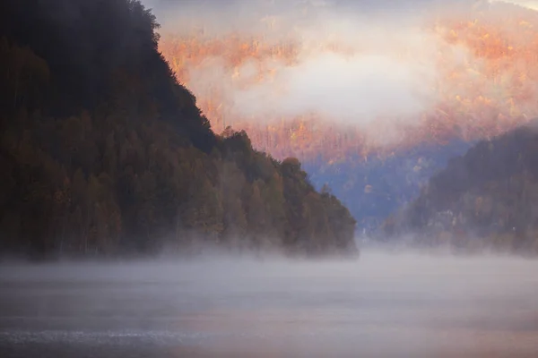 Uma Vista Panorâmica Uma Floresta Outono Através Nevoeiro Acima Água — Fotografia de Stock
