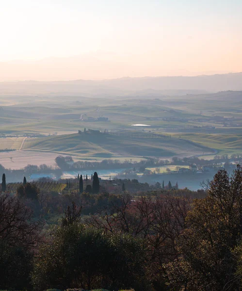 イタリア トスカーナ州フランシゲナ経由の牧草地の垂直風景 — ストック写真