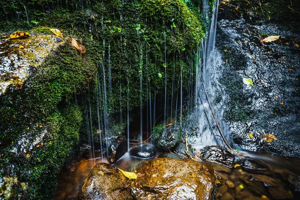 Primo Piano Ruscello Acqua Nella Foresta — Foto Stock