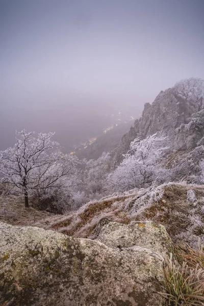在阴暗的天空下 一片片覆盖着霜雪的小山和树 — 图库照片