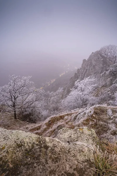 Vertical Shot Hills Trees Covered Frost Snow Gloomy Sky — Stock Photo, Image