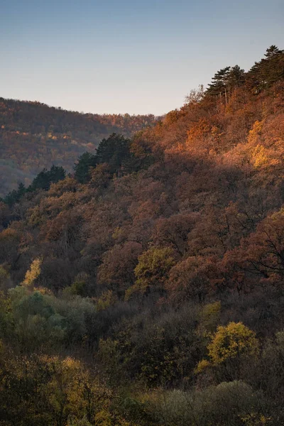 Μια Κάθετη Λήψη Ενός Βουνού Που Καλύπτεται Από Δέντρα — Φωτογραφία Αρχείου