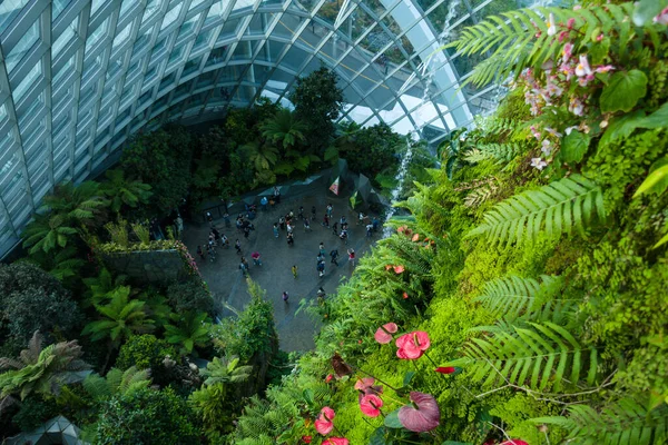 Uma Vista Floresta Nuvens Singapura Uma Parte Cúpula Vidro Cima — Fotografia de Stock