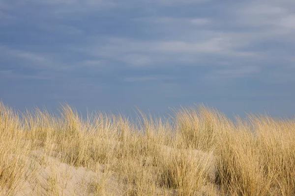 Schöne Aufnahme Eines Sandigen Hügels Mit Trockenem Gras Tag — Stockfoto