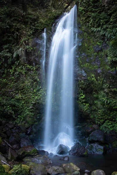 Disparo Vertical Hermosa Cascada Que Fluye Montaña Musgosa Rocosa —  Fotos de Stock