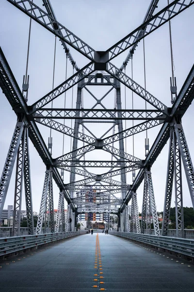 Gros Plan Pont Suspendu Métal — Photo