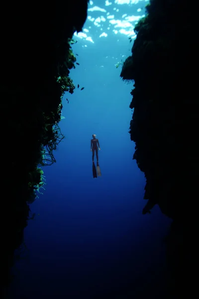 Una Vista Vertical Una Persona Con Gafas Aletas Natación Explorando —  Fotos de Stock