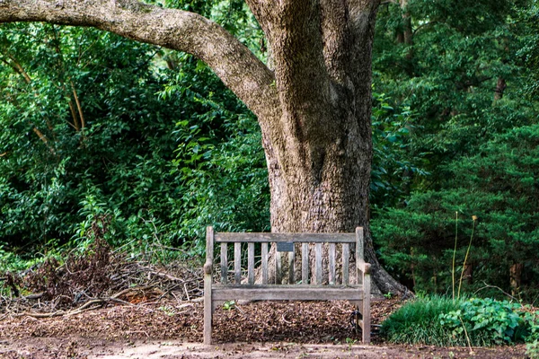 Wooden Bench Park — Stock Photo, Image