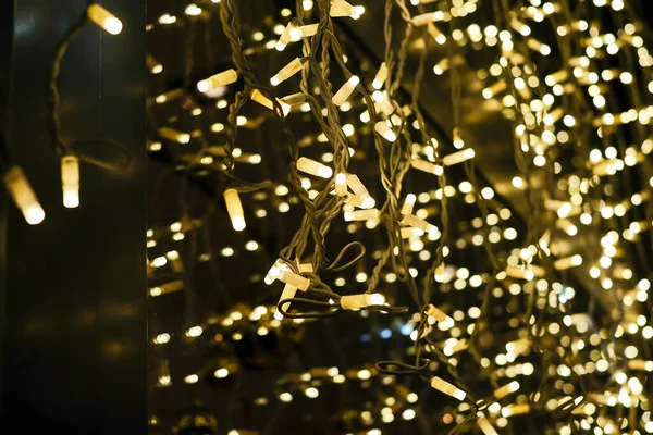 Shiny Christmas Lights Store Window Evening Cologne Germany — Stock Photo, Image