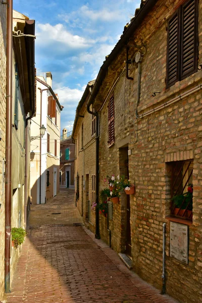 意大利马奇地区一个中世纪城镇Civitanova Alta的一条狭窄街道的垂直截图 — 图库照片