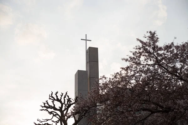 Low Angle Shot Flowering Tree Modern White Church Steeple Cross — Stock Photo, Image