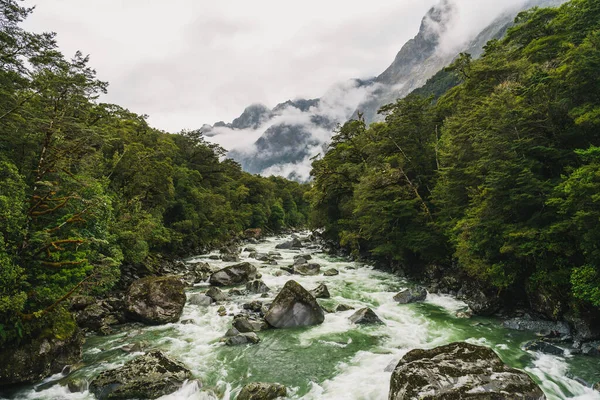 Underbar Utsikt Över Milford Sounds Nya Zeeland Med Levande Gröna — Stockfoto