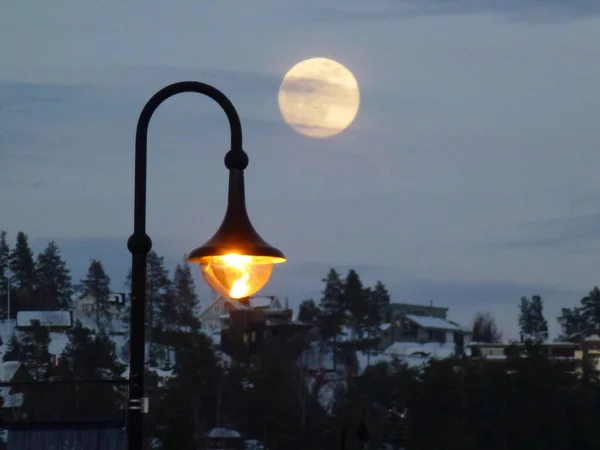 Une Mise Point Sélective Lampadaire Noir Sur Fond Ville Hiver — Photo