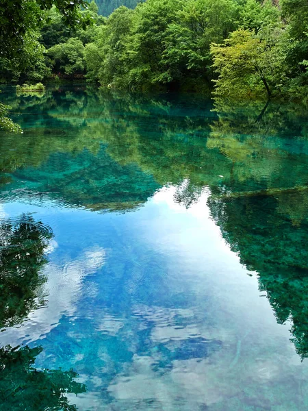Der Ruhige See Mit Dem Widerschein Grüner Bäume Und Wolkenlosem — Stockfoto