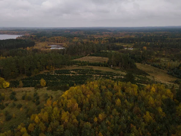 Воздушная Съемка Озер Осеннем Лесу — стоковое фото