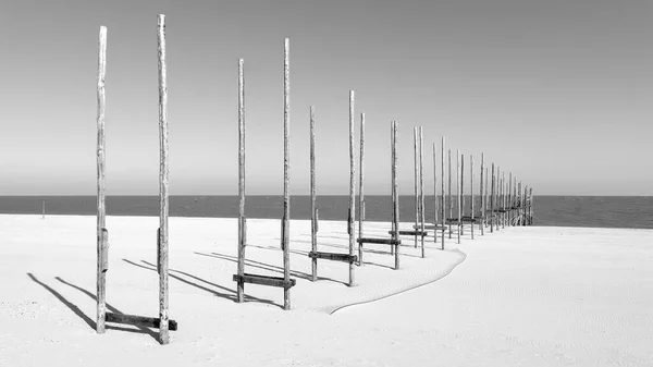 Ein Steg Winter Norden Der Insel Texel Den Niederlanden — Stockfoto