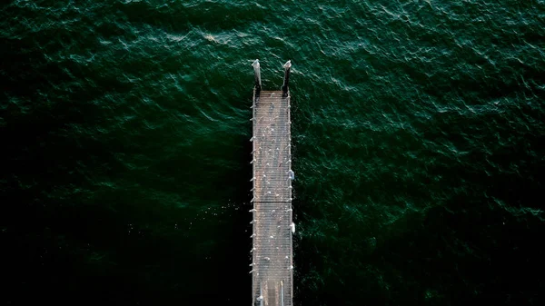 暗い緑色の水に囲まれた木製の桟橋のトップビュー — ストック写真