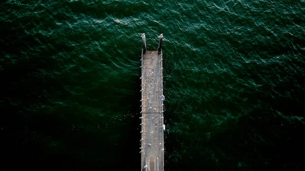 Una Vista Superior Muelle Madera Rodeado Agua Verde Oscura —  Fotos de Stock