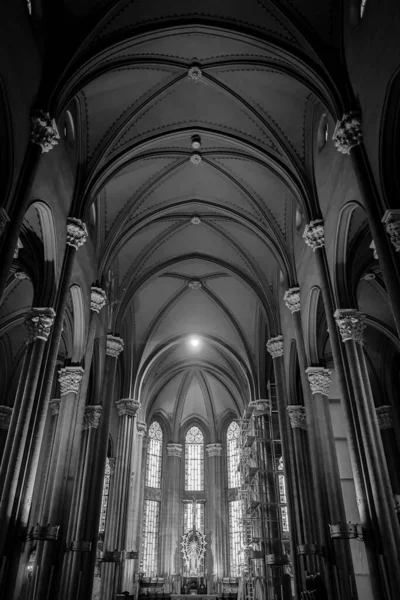 Greyscale Gotiska Katedralen Interiör — Stockfoto