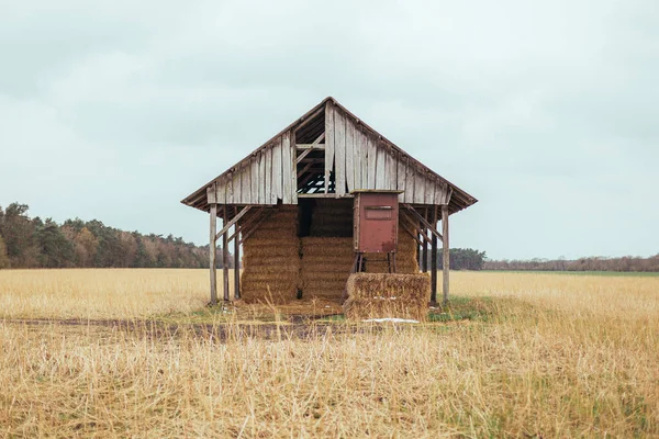 Egy Közeli Felvétel Egy Elhagyatott Házról Farmon Egy Felhős Napon — Stock Fotó