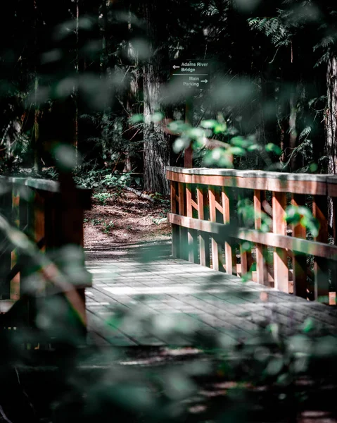 Nahaufnahme Einer Holzbrücke Mit Sonnenstrahlen Wald — Stockfoto