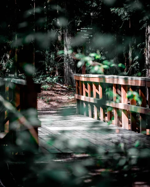 Een Close Van Een Houten Brug Met Zonnestralen Het Bos — Stockfoto