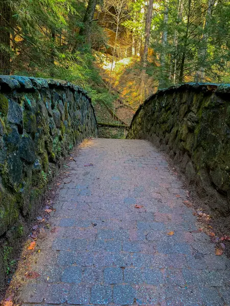 Vertikální Záběr Malého Mechového Kamenného Mostu Lese — Stock fotografie