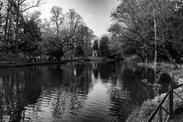 Uno Scatto Scala Grigi Uno Stagno Che Riflette Gli Alberi — Foto Stock