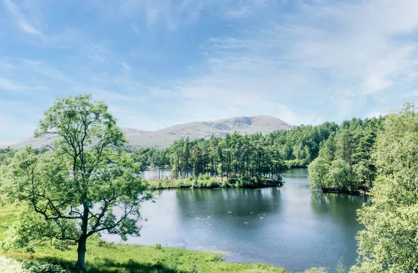 Een Prachtig Uitzicht Het Landschap Rond Lake Tarn Hows Cumbria — Stockfoto