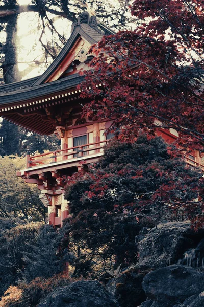 サンフランシスコの木のある庭にある日本家屋の美しい景色 — ストック写真