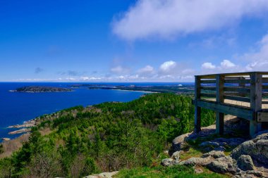 Kuzey Michigan 'da Superior Gölü kıyısındaki bir ormanın havadan görünüşü.