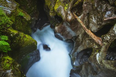 Milford Sounds, Yeni Zelanda 'daki taze mavi-beyaz dereyi çevreleyen sivri, yosunlu yeşil kayaların yüksek açılı görüntüsü.
