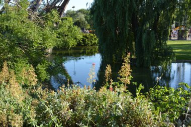 Eyfel Kulesi 'nin tabanının güzel bir görüntüsü, Paris, Fransa göl suyu ve ağaçlarla dolu.