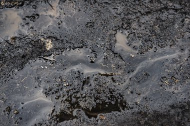 Dışarıda ıslak toprak var.