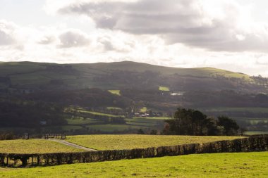 Bulutlu bir gökyüzünün altındaki tepelerin arkasındaki çimenli tarlaların manzarası