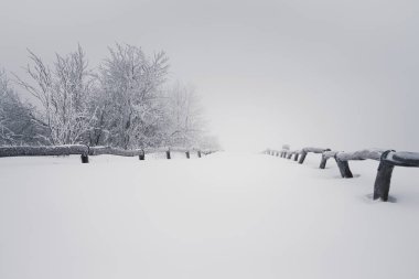 Tamamen karla kaplı güzel bir tarla manzarası