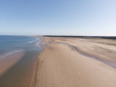 Ufukta ormanı olan güzel bir sahil manzarası.