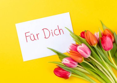 Beyaz kağıt ve Almanca metin ile sarı bir zemin üzerinde renkli laleler yakın çekim 