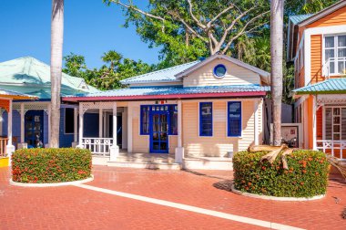 Güneşli bir günde Meksika 'da ağaçlar ve bitkilerle çevrili renkli binaların yakın çekimi.