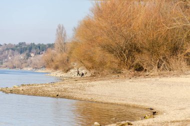 Sırbistan 'ın Tuna Nehri' nin baharda çekilmiş bir fotoğrafı