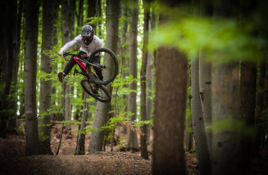A closeup of a person riding a bicycle in a forest