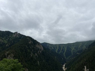 Kasvetli bir havada yeşilliklerle kaplı tepeler