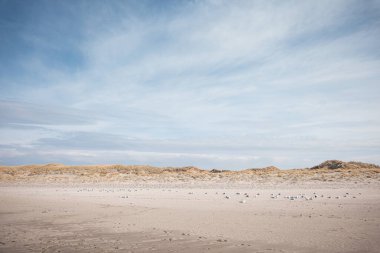 Gündüz vakti boş bir kumsal