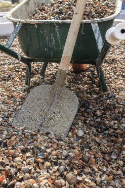 İnşaat malzemesi olarak kullanılan deniz kabuklarının görüntüsü