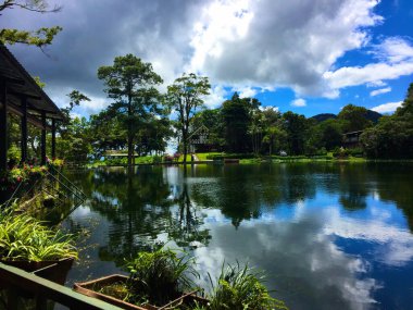Çatısı ve orman arka planında gölün panaroid görüntüsü
